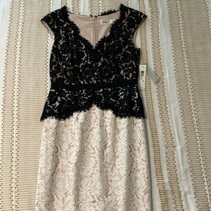 Lace cocktail dress NWT